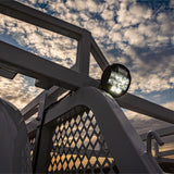 NACHO - TM513 - TM5 Fleet Light Set