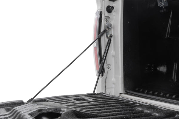 Rough Country - Tailgate Assist - Ford F-150 2WD/4WD (2004-2014)