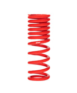 ERS Motorsport Spring