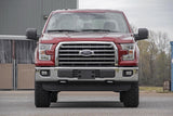 Rough Country - N3 Leveling Struts - 2 Inch - Loaded Strut - Ford F-150 4WD (2014-2025)